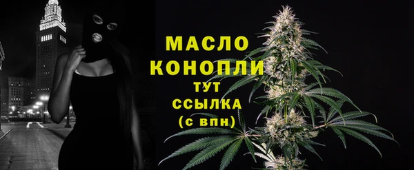 не бодяженный Заводоуковск