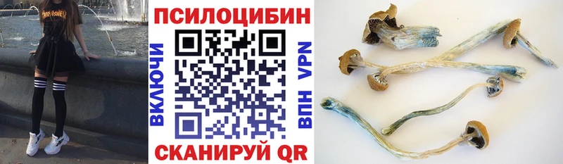 Псилоцибиновые грибы прущие грибы  купить наркотик  Балахна 